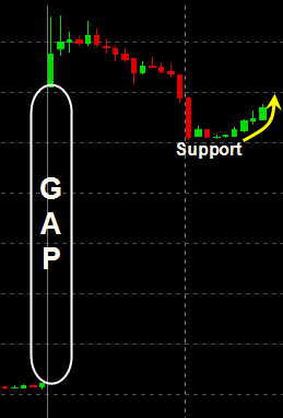 gap-support